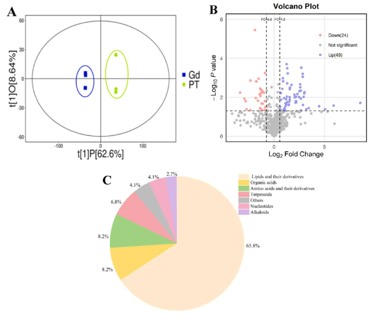 Environ.Res.(IF=7.7)|大理大学吴明灿研究团队:水中稀土元素超标,纤细裸藻揭秘钆离子多重毒性密码(图7) Environ.Res.(IF=7.7)|大理大学吴明灿研究团队:水中稀土元素超标,纤细裸藻揭秘钆离子多重毒性密码(图7)