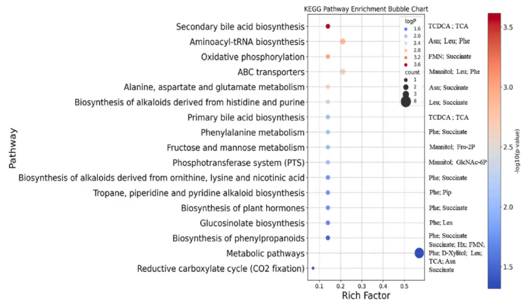 Environ.Res.(IF=7.7)|大理大学吴明灿研究团队:水中稀土元素超标,纤细裸藻揭秘钆离子多重毒性密码(图9) Environ.Res.(IF=7.7)|大理大学吴明灿研究团队:水中稀土元素超标,纤细裸藻揭秘钆离子多重毒性密码(图9)