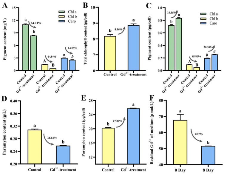Environ.Res.(IF=7.7)|大理大学吴明灿研究团队:水中稀土元素超标,纤细裸藻揭秘钆离子多重毒性密码(图6) Environ.Res.(IF=7.7)|大理大学吴明灿研究团队:水中稀土元素超标,纤细裸藻揭秘钆离子多重毒性密码(图6)