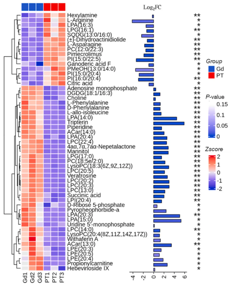 Environ.Res.(IF=7.7)|大理大学吴明灿研究团队:水中稀土元素超标,纤细裸藻揭秘钆离子多重毒性密码(图8) Environ.Res.(IF=7.7)|大理大学吴明灿研究团队:水中稀土元素超标,纤细裸藻揭秘钆离子多重毒性密码(图8)