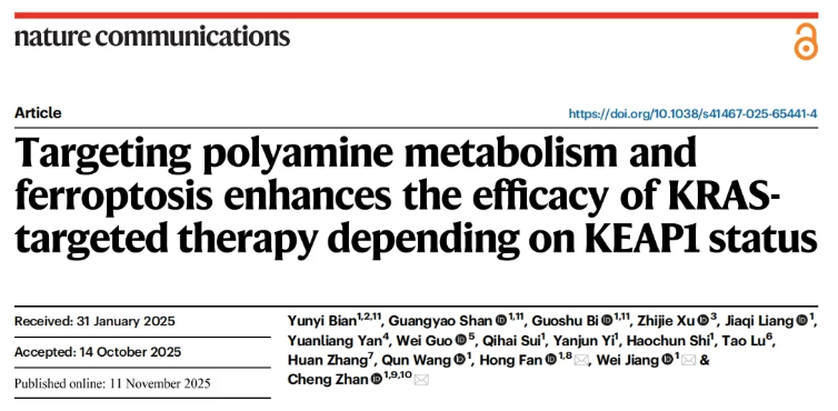 nat.commun.(IF=15.7)|复旦大学附属中山医院詹成团队:靶向多胺代谢提升KRAS靶向药疗效(图1) nat.commun.(IF=15.7)|复旦大学附属中山医院詹成团队:靶向多胺代谢提升KRAS靶向药疗效(图1)
