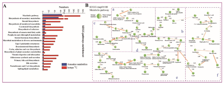 LWT(IF=6.6)|川大新成果：同位素标记代谢流+脂质组学，重新定义酵母耐盐研究(图3)