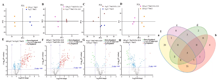 LWT(IF=6.6)|川大新成果：同位素标记代谢流+脂质组学，重新定义酵母耐盐研究(图5)