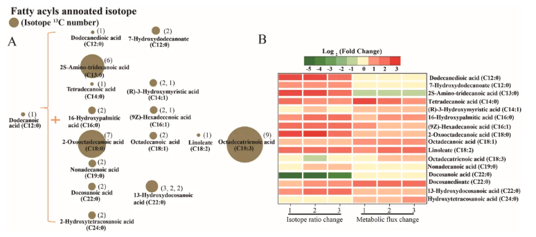 LWT(IF=6.6)|川大新成果：同位素标记代谢流+脂质组学，重新定义酵母耐盐研究(图4)