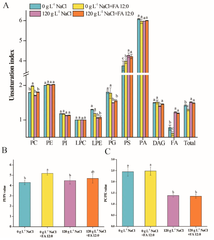 LWT(IF=6.6)|川大新成果：同位素标记代谢流+脂质组学，重新定义酵母耐盐研究(图8)