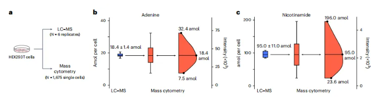 nature methods(IF=32.1)|朱正江研究员团队引领代谢组学技术正式进入单细胞时代(图6)