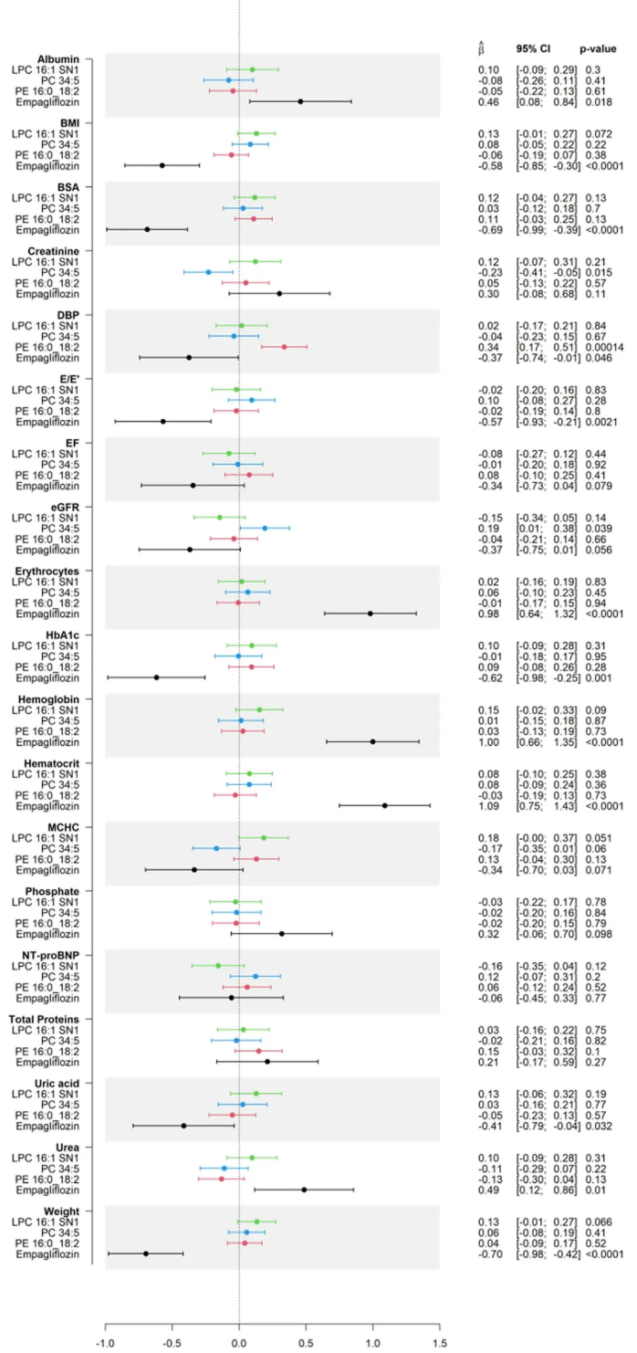 Cardiovasc.Diabetol.(IF=10.6)|降糖又护心！4D脂质组学解锁恩格列净心脏代谢获益的脂质密码(图9)