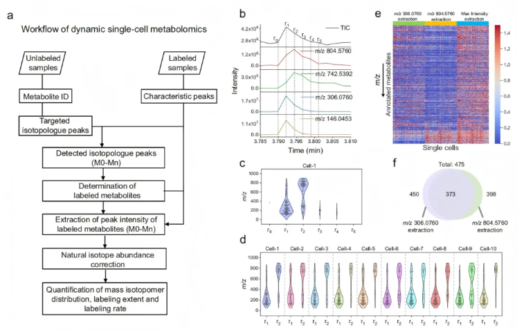 nat commun(IF=15.7)|北大白玉教授团队突破静态局限：动态单细胞代谢组学揭秘肿瘤-巨噬细胞互作新机制(图3)