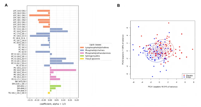 Cardiovasc.Diabetol.(IF=10.6)|降糖又护心！4D脂质组学解锁恩格列净心脏代谢获益的脂质密码(图4)