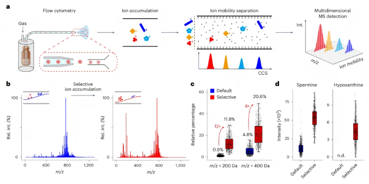 nature methods(IF=32.1)|朱正江研究员团队引领代谢组学技术正式进入单细胞时代(图2)