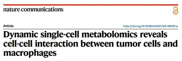 nat commun(IF=15.7)|北大白玉教授团队突破静态局限：动态单细胞代谢组学揭秘肿瘤-巨噬细胞互作新机制(图1)