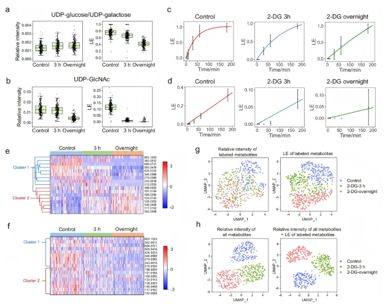 nat commun(IF=15.7)|北大白玉教授团队突破静态局限：动态单细胞代谢组学揭秘肿瘤-巨噬细胞互作新机制(图7)