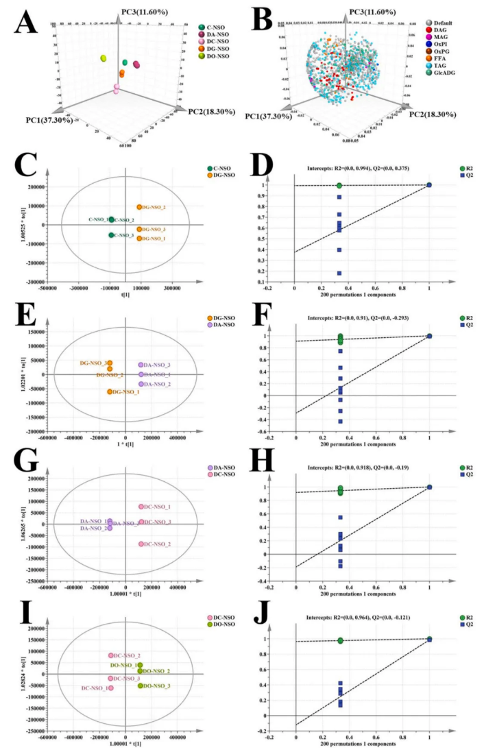 Curr Res Food Sci.(IF=7.0)|海南大学张伟敏教授团队聚焦诺丽籽油精炼过程：多组学解析其成分、风味与活性变化(图6)