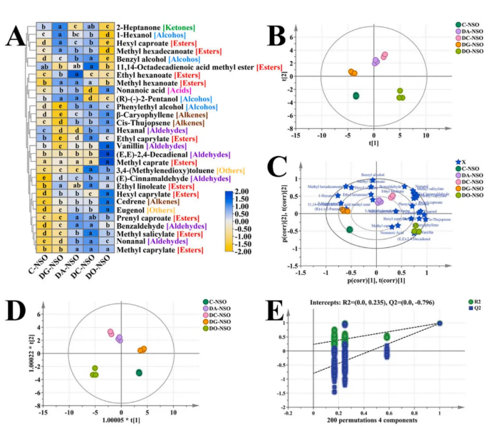 Curr Res Food Sci.(IF=7.0)|海南大学张伟敏教授团队聚焦诺丽籽油精炼过程：多组学解析其成分、风味与活性变化(图7)