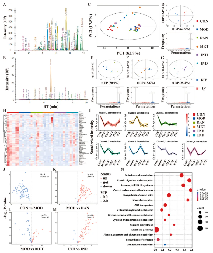 JEP(IF=5.4)|福建中医药大学研究团队：多组学揭秘丹瓜方调控GLUD1改善糖尿病代谢机制(图10)