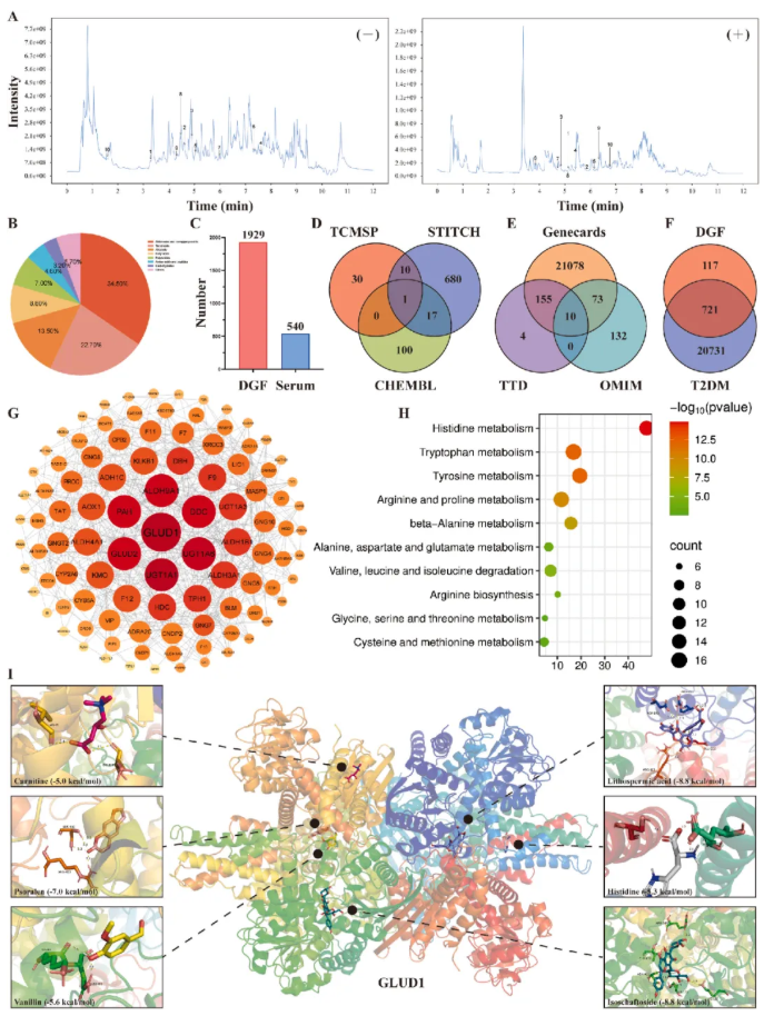 JEP(IF=5.4)|福建中医药大学研究团队：多组学揭秘丹瓜方调控GLUD1改善糖尿病代谢机制(图4)