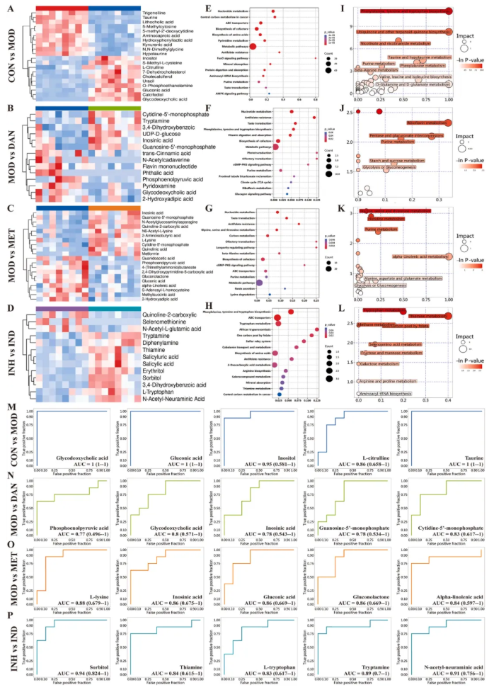 JEP(IF=5.4)|福建中医药大学研究团队：多组学揭秘丹瓜方调控GLUD1改善糖尿病代谢机制(图9)