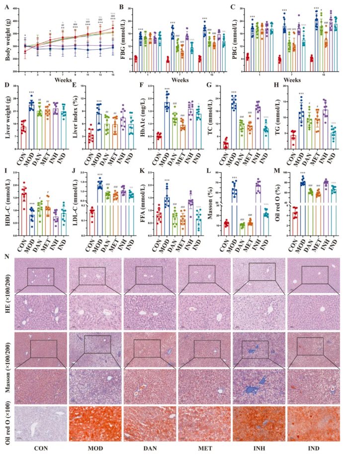 JEP(IF=5.4)|福建中医药大学研究团队：多组学揭秘丹瓜方调控GLUD1改善糖尿病代谢机制(图6)