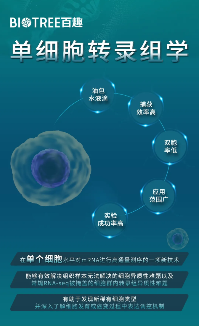 nat commun.(IF=15.7)|中国农科院生物所普莉团队揭示玉米根系响应热胁迫的单细胞转录图谱和调控网络(图9)