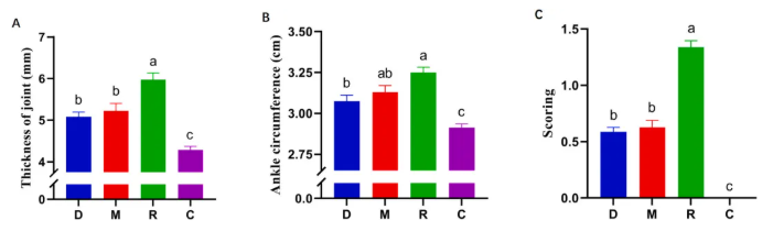 IJBM(IF=8.5)|云南农大/云中医联合研究：蜂毒肽靶向调控代谢与基因，为类风湿关节炎治疗添新策(图2)