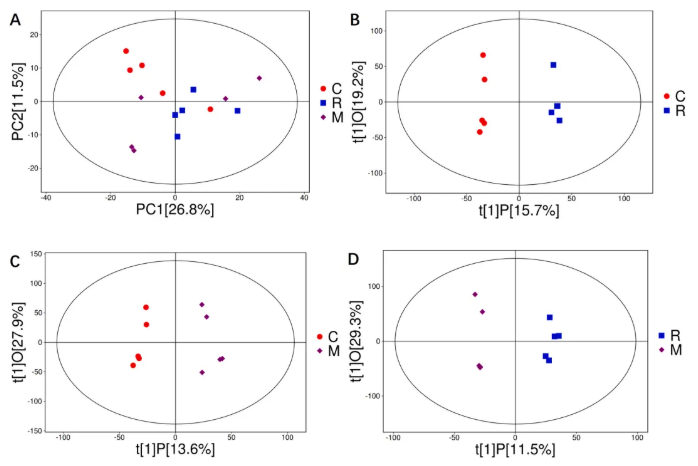 IJBM(IF=8.5)|云南农大/云中医联合研究：蜂毒肽靶向调控代谢与基因，为类风湿关节炎治疗添新策(图6)