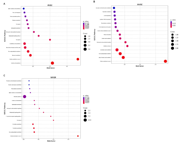 IJBM(IF=8.5)|云南农大/云中医联合研究：蜂毒肽靶向调控代谢与基因，为类风湿关节炎治疗添新策(图8)
