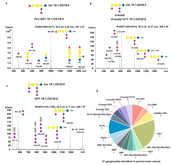 nat.commun.(IF=15.7)|4D脂质组学破译帕金森病糖鞘脂表达规律，解锁生物标志物新可能(图3)