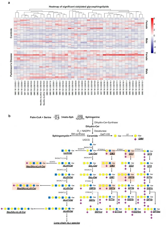 nat.commun.(IF=15.7)|4D脂质组学破译帕金森病糖鞘脂表达规律，解锁生物标志物新可能(图8)