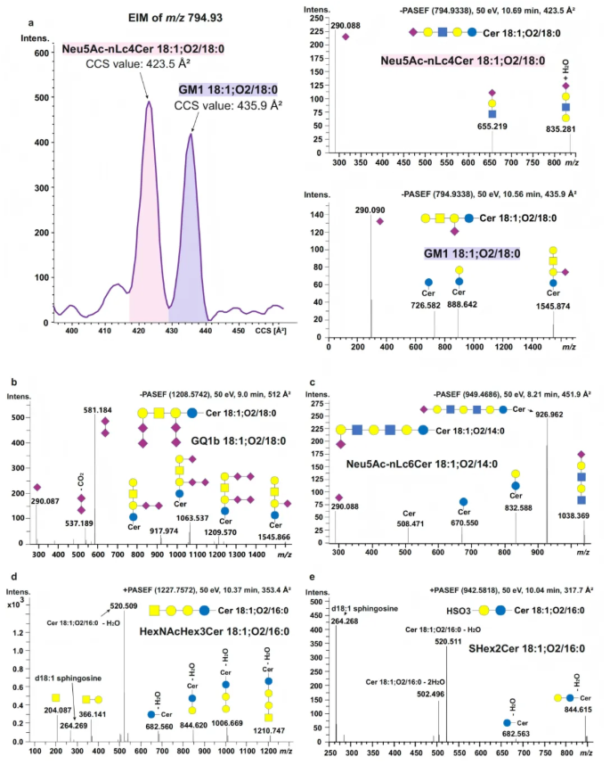 nat.commun.(IF=15.7)|4D脂质组学破译帕金森病糖鞘脂表达规律，解锁生物标志物新可能(图5)