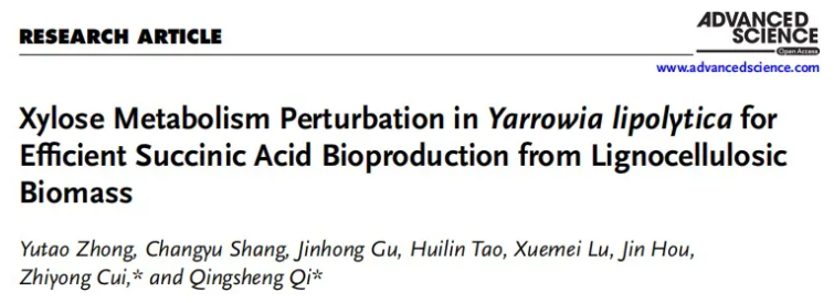 Adv.Sci. (IF=14.1)|山大团队新突破!解锁非模式酵母代谢新机制,木糖高效转化合成琥珀酸获进展!(图1) Adv.Sci. (IF=14.1)|山大团队新突破!解锁非模式酵母代谢新机制,木糖高效转化合成琥珀酸获进展!(图1)
