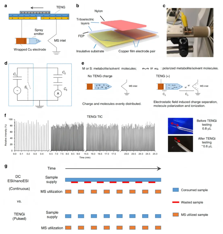 nature子刊(IF=15.7)|“微量” 样本也有大发现!代谢组学解锁呼出气与细胞代谢指纹(图2) nature子刊(IF=15.7)|“微量” 样本也有大发现!代谢组学解锁呼出气与细胞代谢指纹(图2)