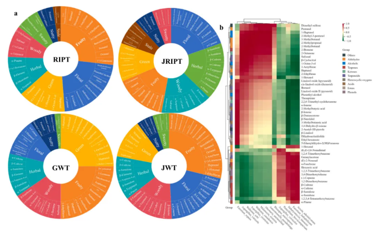 Food Chem.(IF=9.8)|南农陈暄教授研究团队多组学揭秘:云南“金花茶”的风味炼金术—匍匐散囊菌如何点“茶”成“香”?(图6) Food Chem.(IF=9.8)|南农陈暄教授研究团队多组学揭秘:云南“金花茶”的风味炼金术—匍匐散囊菌如何点“茶”成“香”?(图6)