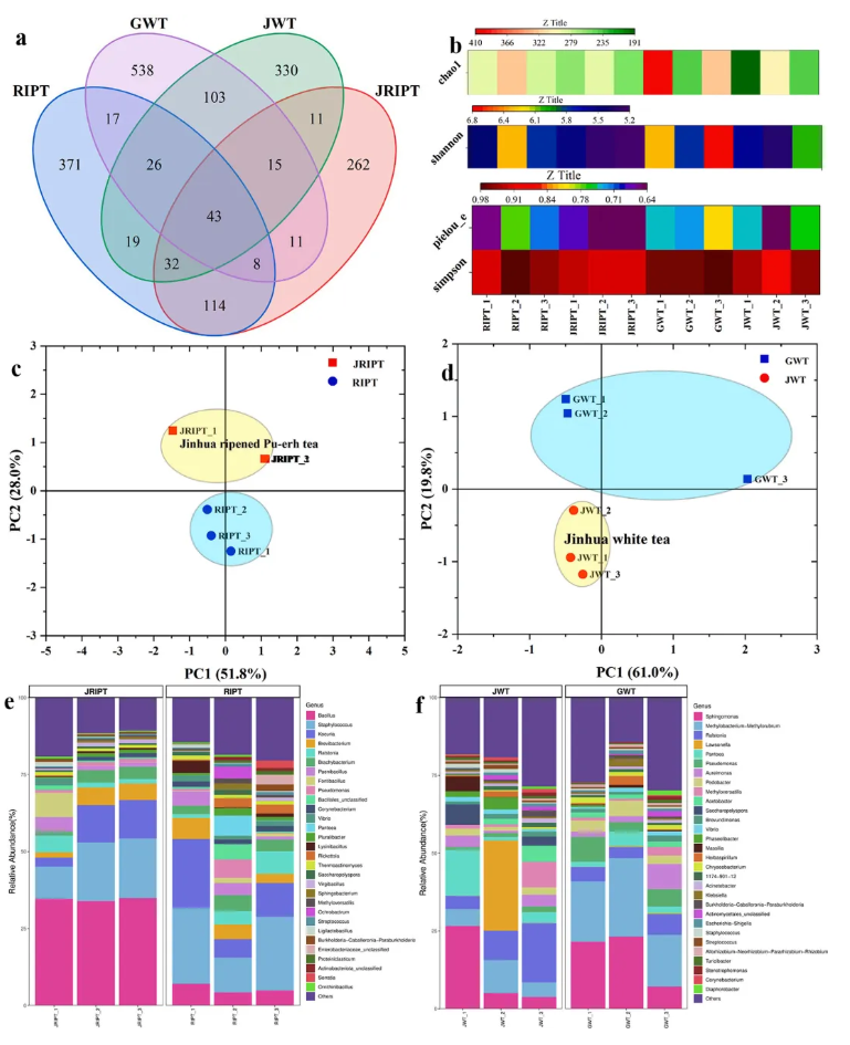 Food Chem.(IF=9.8)|南农陈暄教授研究团队多组学揭秘:云南“金花茶”的风味炼金术—匍匐散囊菌如何点“茶”成“香”?(图4) Food Chem.(IF=9.8)|南农陈暄教授研究团队多组学揭秘:云南“金花茶”的风味炼金术—匍匐散囊菌如何点“茶”成“香”?(图4)