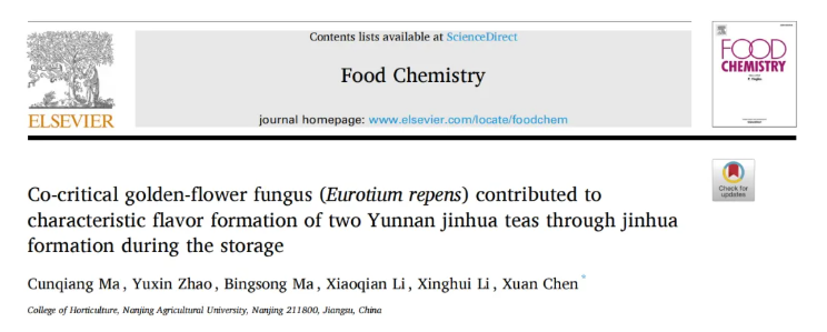 Food Chem.(IF=9.8)|南农陈暄教授研究团队多组学揭秘:云南“金花茶”的风味炼金术—匍匐散囊菌如何点“茶”成“香”?(图1) Food Chem.(IF=9.8)|南农陈暄教授研究团队多组学揭秘:云南“金花茶”的风味炼金术—匍匐散囊菌如何点“茶”成“香”?(图1)