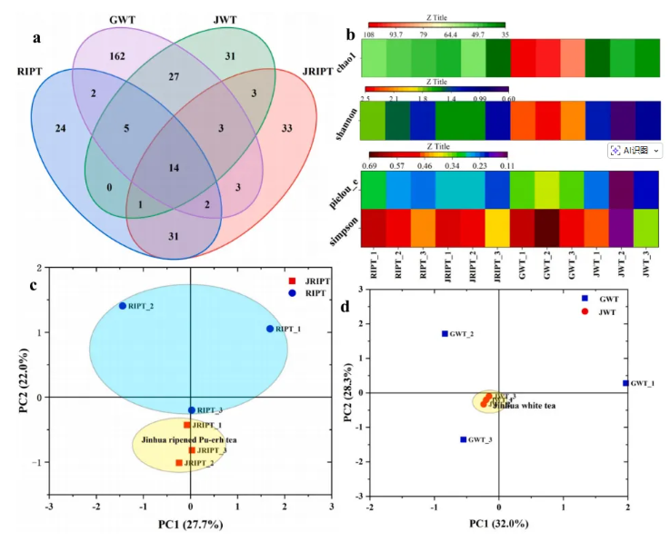 Food Chem.(IF=9.8)|南农陈暄教授研究团队多组学揭秘:云南“金花茶”的风味炼金术—匍匐散囊菌如何点“茶”成“香”?(图2) Food Chem.(IF=9.8)|南农陈暄教授研究团队多组学揭秘:云南“金花茶”的风味炼金术—匍匐散囊菌如何点“茶”成“香”?(图2)