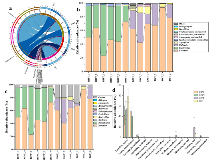 Food Chem.(IF=9.8)|南农陈暄教授研究团队多组学揭秘:云南“金花茶”的风味炼金术—匍匐散囊菌如何点“茶”成“香”?(图3) Food Chem.(IF=9.8)|南农陈暄教授研究团队多组学揭秘:云南“金花茶”的风味炼金术—匍匐散囊菌如何点“茶”成“香”?(图3)
