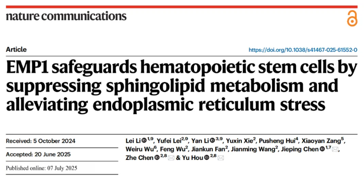 nat.commun.(IF=15.7)|重庆医科大学侯宇教授团队：EMP1调控鞘脂代谢守护造血干细胞新机制，为血液疾病干预开辟新思路(图1)
