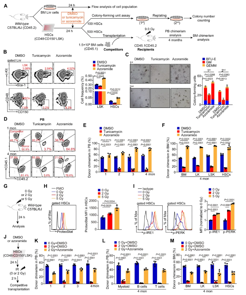 nat.commun.(IF=15.7)|重庆医科大学侯宇教授团队：EMP1调控鞘脂代谢守护造血干细胞新机制，为血液疾病干预开辟新思路(图2)