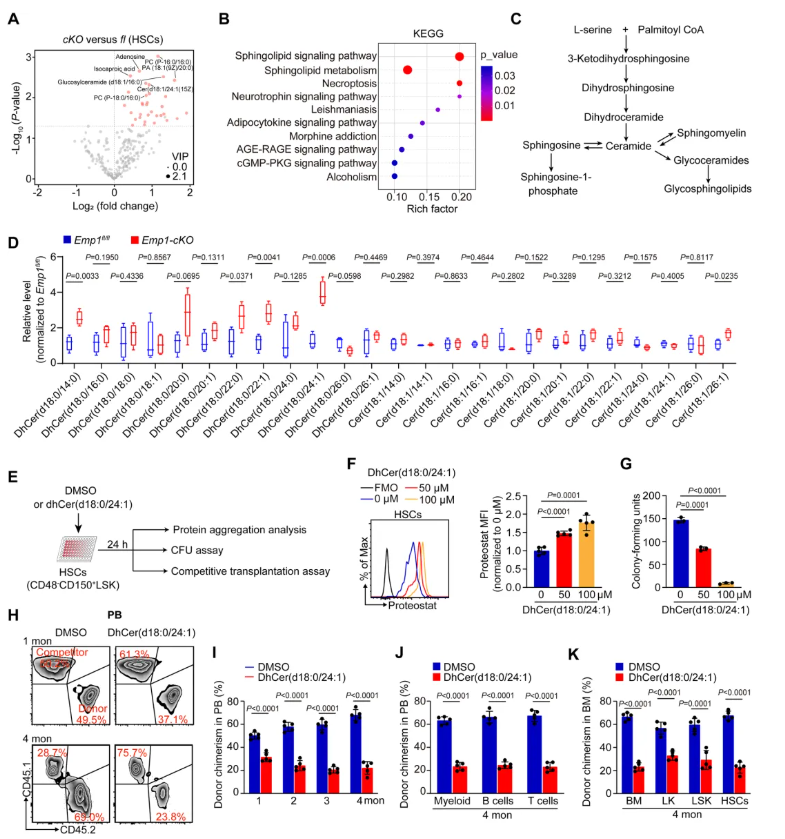 nat.commun.(IF=15.7)|重庆医科大学侯宇教授团队：EMP1调控鞘脂代谢守护造血干细胞新机制，为血液疾病干预开辟新思路(图7)