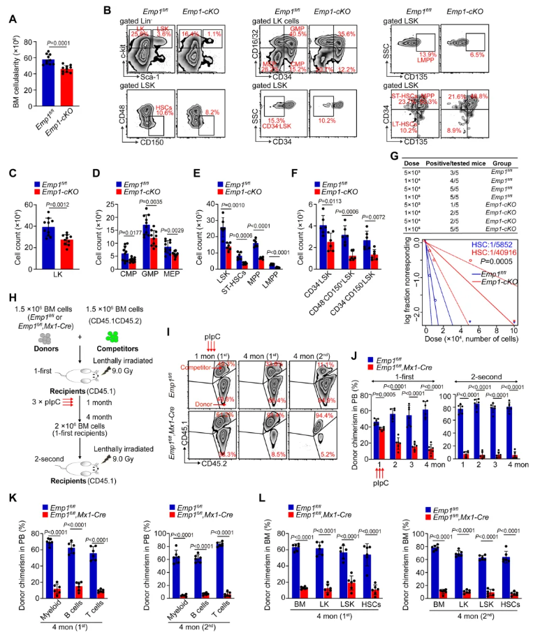 nat.commun.(IF=15.7)|重庆医科大学侯宇教授团队：EMP1调控鞘脂代谢守护造血干细胞新机制，为血液疾病干预开辟新思路(图4)