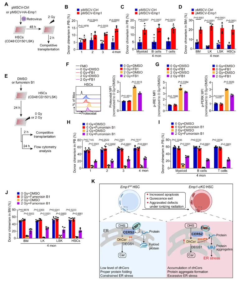 nat.commun.(IF=15.7)|重庆医科大学侯宇教授团队：EMP1调控鞘脂代谢守护造血干细胞新机制，为血液疾病干预开辟新思路(图9)