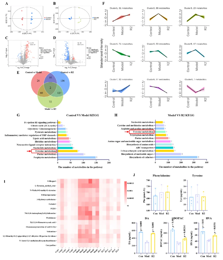 CNS Neurosci.Ther.(IF=5)|山西中医药大学研究团队:环黄芪醇R2靶向TLR4/NF-κB/TERT改善帕金森(图9) CNS Neurosci.Ther.(IF=5)|山西中医药大学研究团队:环黄芪醇R2靶向TLR4/NF-κB/TERT改善帕金森(图9)