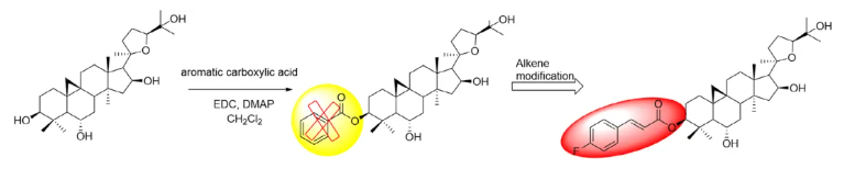 CNS Neurosci.Ther.(IF=5)|山西中医药大学研究团队:环黄芪醇R2靶向TLR4/NF-κB/TERT改善帕金森(图5) CNS Neurosci.Ther.(IF=5)|山西中医药大学研究团队:环黄芪醇R2靶向TLR4/NF-κB/TERT改善帕金森(图5)