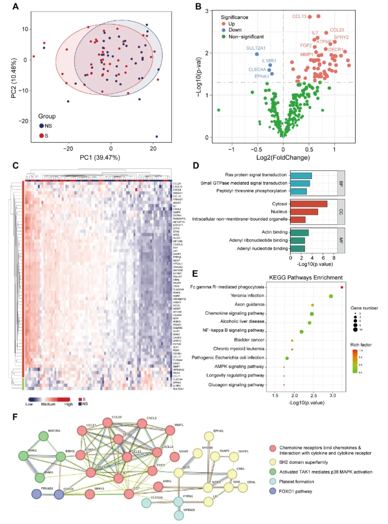 JCSM(IF=9.1)|四川大学华西医院姜昊团队：整合血浆蛋白质组与代谢组学构建肌少症新型诊断模型(图4)
