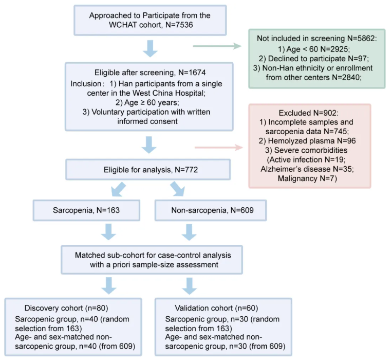 JCSM(IF=9.1)|四川大学华西医院姜昊团队：整合血浆蛋白质组与代谢组学构建肌少症新型诊断模型(图3)