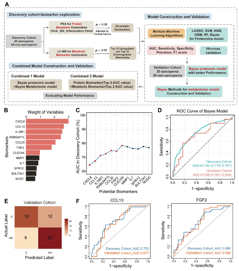 JCSM(IF=9.1)|四川大学华西医院姜昊团队：整合血浆蛋白质组与代谢组学构建肌少症新型诊断模型(图5)