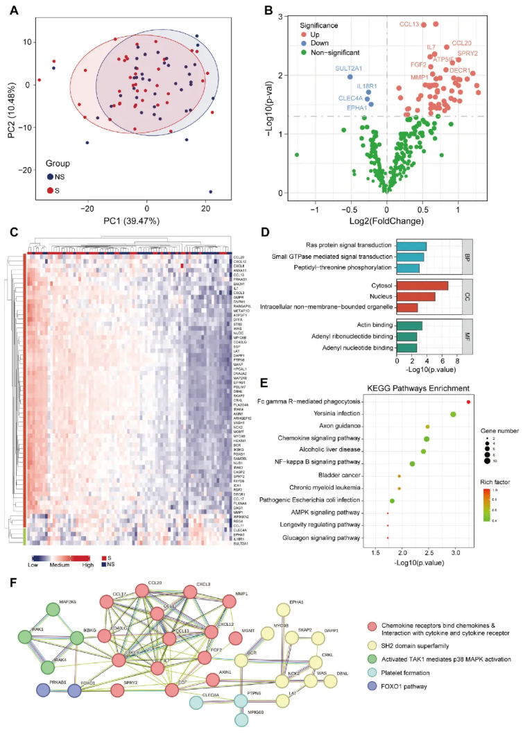 JCSM(IF=9.1)|四川大学华西医院姜昊团队：整合血浆蛋白质组与代谢组学构建肌少症新型诊断模型(图4)