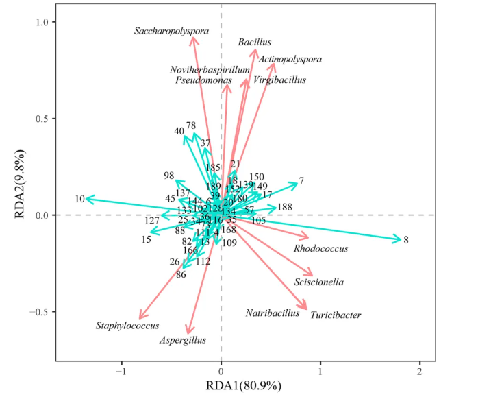 Food Chem. X(IF=8.2)|陈化20年的蒲坑茶里藏着什么?天津理工联合中科院团队利用多组学首次揭开黑茶“越陈越香的神秘面纱！(图10)