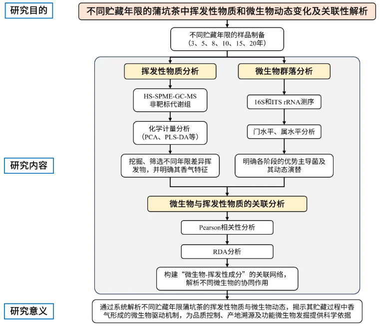 Food Chem. X(IF=8.2)|陈化20年的蒲坑茶里藏着什么?天津理工联合中科院团队利用多组学首次揭开黑茶“越陈越香的神秘面纱！(图3)