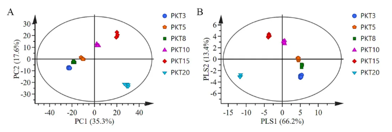 Food Chem. X(IF=8.2)|陈化20年的蒲坑茶里藏着什么?天津理工联合中科院团队利用多组学首次揭开黑茶“越陈越香的神秘面纱！(图5)